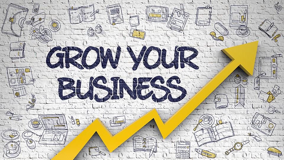 Grow Your Business Drawn on White Wall.